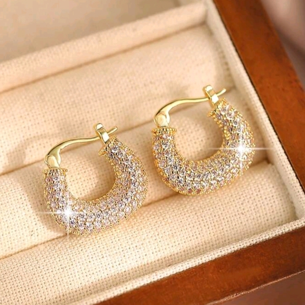 Sparkling Gold and Zirconia Hoop Earrings